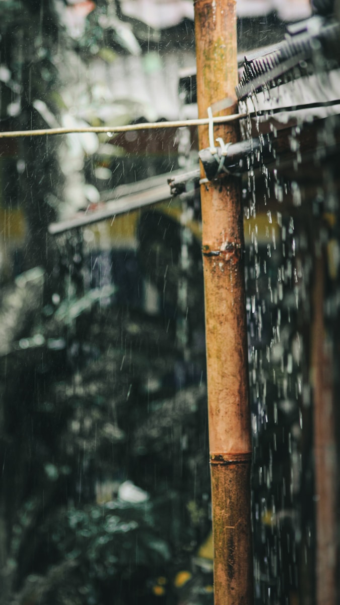 Photo by Ryan Dinata water droplets on brown wooden post