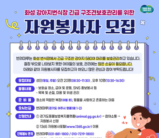 경기도, “상처받은 강아지들 돌봐 줄 자원봉사자 모집합니다”