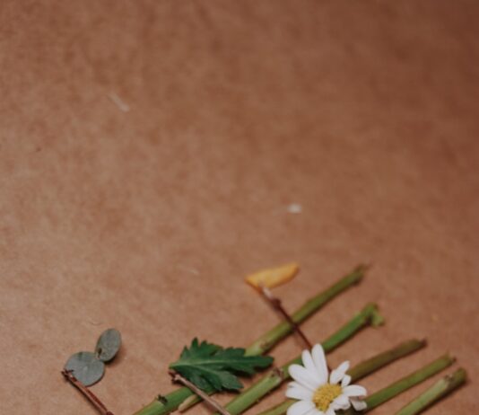 일상 속 대체요법, 자연스러운 치유로 건강을 찾다 a bunch of flowers sitting on top of a table