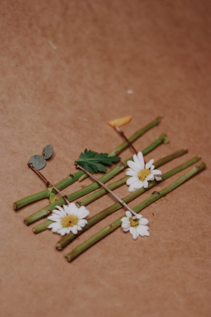 Photo by Beyza Kaplan a bunch of flowers sitting on top of a table