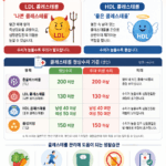 “콜레스테롤 수치, 높기만 하면 문제?” LDL·HDL 제대로 알아야 혈관 건강 지킨다