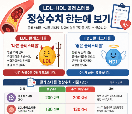 “콜레스테롤 수치, 높기만 하면 문제?” LDL·HDL 제대로 알아야 혈관 건강 지킨다