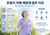 운동이 치매 예방에 도움이 되는 이유…“몸을 움직이면 뇌도 젊어진다”