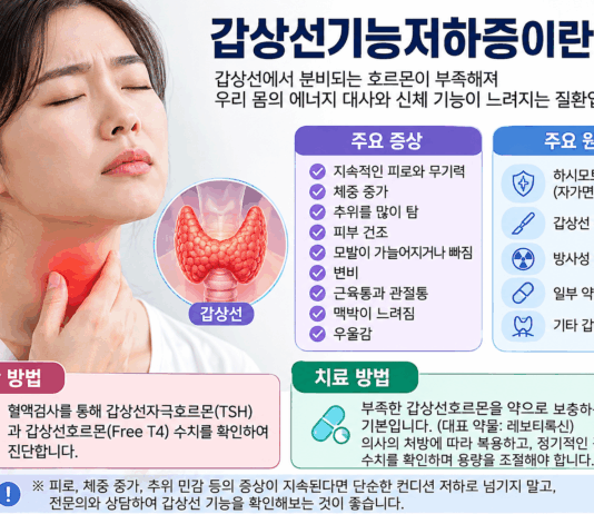 계속 피곤하고 살이 찐다면? 놓치기 쉬운 갑상선기능저하증