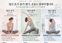 임신 초기·중기·말기, 주수에 따라 달라지는 운동의 기준